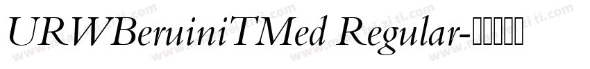 URWBeruiniTMed Regular字体转换